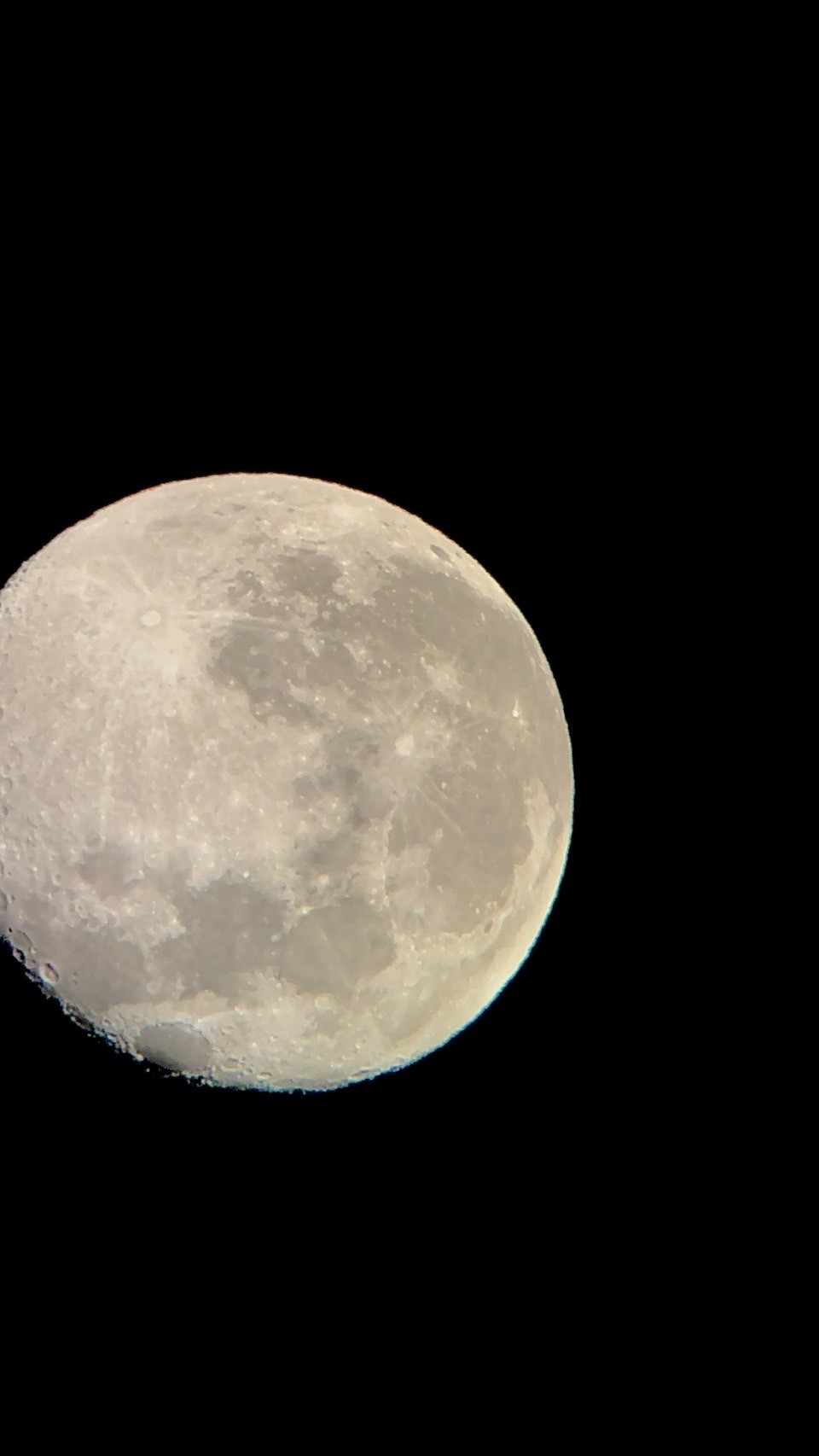 Image - 2025-11-18T120818.683